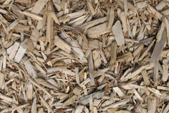 biomass boilers Larkbeare