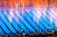 Larkbeare gas fired boilers